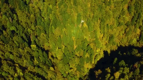 Aerial View Valley Road Black Forest Close Town Wehr Sunny — Stock videók
