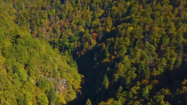 Flygfoto Över Byn Todtmoos Tyskland Solig Dag Hösten Höst — Stockvideo