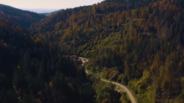 Uitzicht Vanuit Lucht Een Dalweg Het Zwarte Bos Nabij Stad — Stockvideo