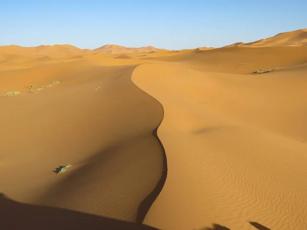 Sahra Çölü 'ndeki kum tepeleri, Fas