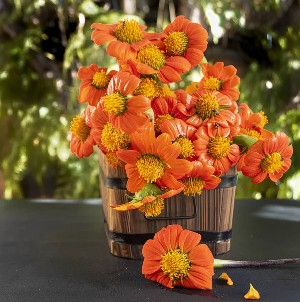 orange flowers arranged in rustic containers with natural light.