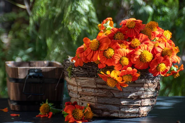 orange flowers arranged in rustic containers with natural light.