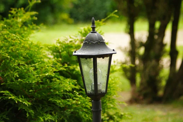 Parktaki açık hava ışığı..