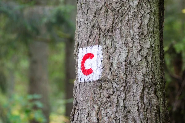 Ağaçta yürüyüş işareti var..