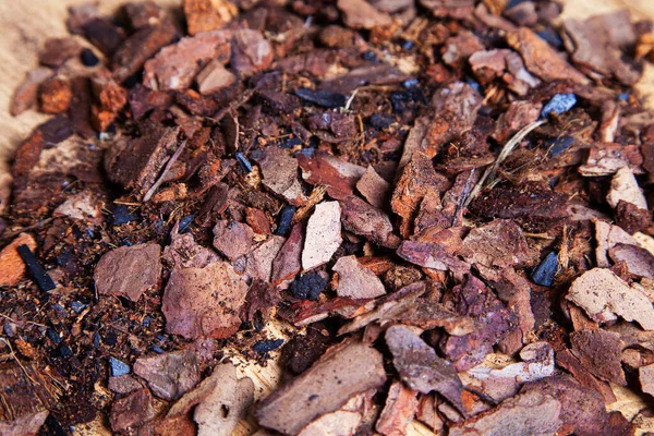 Diğer bitkilerin orkidelerini nakletmek için kuru çam kabuğu. Orkideler için substrat. Malç için toprak. Evde orkide nakli. Ev bitkisi nakli için hazırlanıyor..