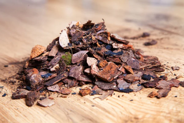 Diğer bitkilerin orkidelerini nakletmek için kuru çam kabuğu. Orkideler için substrat. Malç için toprak. Evde orkide nakli. Ev bitkisi nakli için hazırlanıyor..