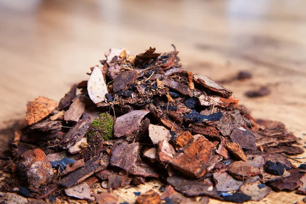 Diğer bitkilerin orkidelerini nakletmek için kuru çam kabuğu. Orkideler için substrat. Malç için toprak. Evde orkide nakli. Ev bitkisi nakli için hazırlanıyor..