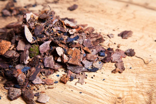 Diğer bitkilerin orkidelerini nakletmek için kuru çam kabuğu. Orkideler için substrat. Malç için toprak. Evde orkide nakli. Ev bitkisi nakli için hazırlanıyor..