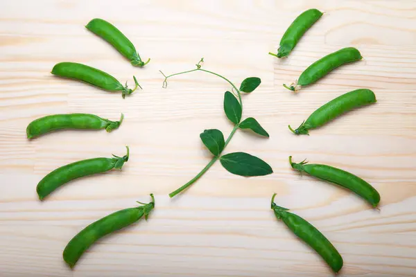 Kabuklardaki yeşil bezelyeler ahşap bir arka planda yatıyor. Sağlıklı yeşil sebzeler. Mesaj için yer. Ahşap bir masada duran lezzetli olgun bezelyeler. Kırsal ahşap arka planda yeşil bezelye, fotokopi alanı, doğal ahşap masa. Düz yatıyordu.