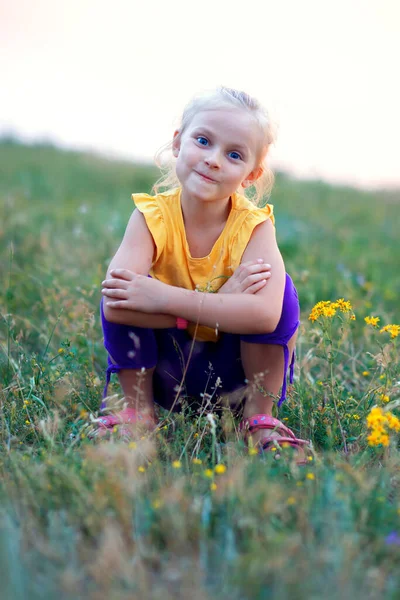 Güzel küçük kız çayırda oturuyor ve gülüyor, mutlu bir çocukluk geçiriyor.