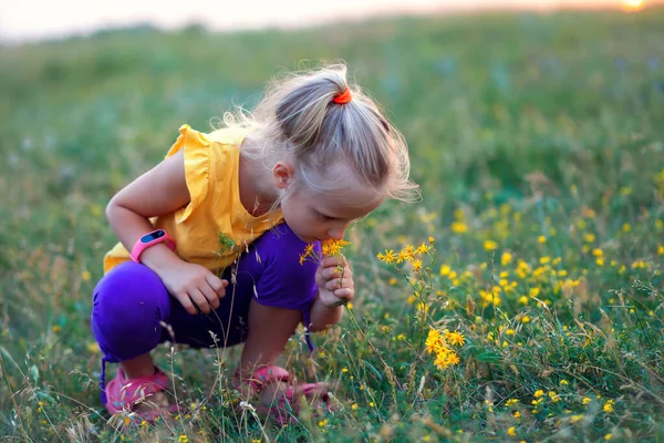 美丽的小女孩坐在草地上 嗅着黄色的野花 在乡间散步 — 图库照片