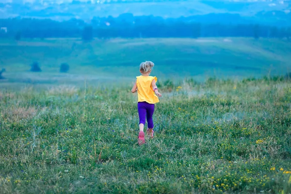 子供たちは野の花 自由の感覚 ハイキング 国の家族の休日に囲まれた幸せな子供時代の間で夏にフィールド全体を走ります — ストック写真
