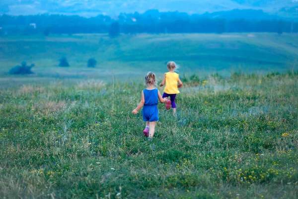 Çocuklar yazın kır çiçeklerinin arasında koşar, özgürlük duygusu, doğa, yürüyüş ve aile tatilleriyle çevrili mutlu bir çocukluk.