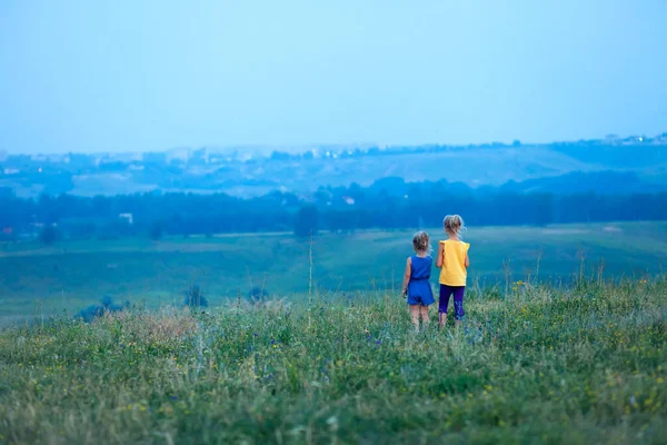 夏の2人の子供が丘の上のフィールドに立って 距離を調べる 将来のビジョンコンセプト オープンエアの中を歩く 家族や妹たちが一緒に遊んで — ストック写真