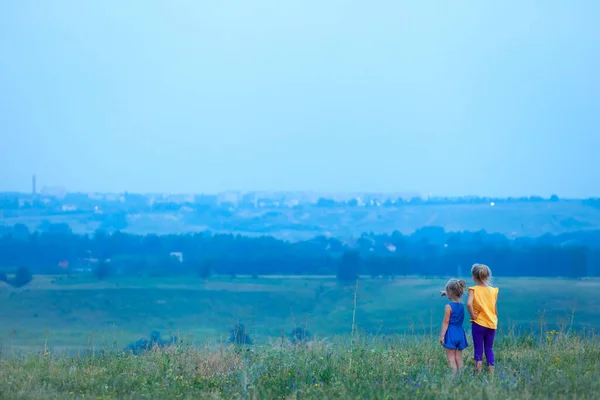 夏の2人の子供が丘の上のフィールドに立って 距離を調べる 将来のビジョンコンセプト オープンエアの中を歩く 家族や妹たちが一緒に遊んで — ストック写真