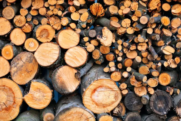 Kütüklerde yakacak odun, büyük küçük doğranmış dallar. Kırık odun depoda. Banyo ve şömine için odun topladım. Yakacak odunların arka planı. Şömine için doğal yakıt ve ısıtma, barbekü, barbekü, barbekü ve et.