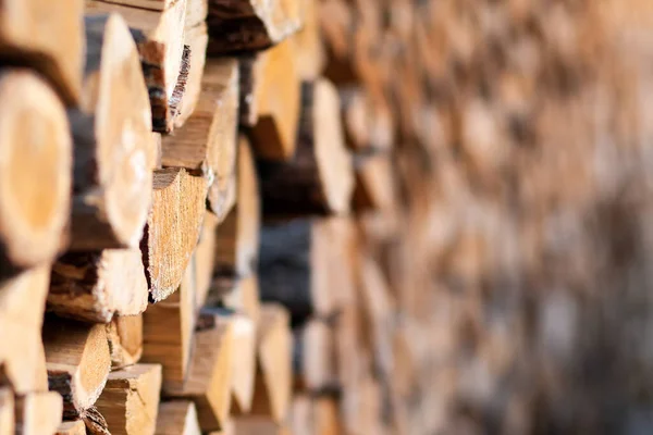 Kütüklerde yakacak odun, büyük küçük doğranmış dallar. Kırık odun depoda. Banyo ve şömine için odun topladım. Yakacak odunların arka planı. Şömine için doğal yakıt ve ısıtma, barbekü, barbekü, barbekü ve et.