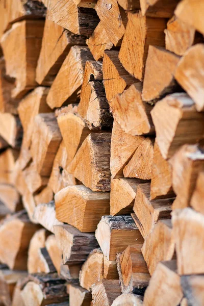 Firewood Logs Large Small Chopped Branches Chipped Firewood Storage Finished — Stock Photo, Image
