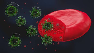 Microscope virus close up concept art . Pathogenic viruses causing infection in host organism , Viral disease outbreak ,Virus attacking red blood cells , 3d render clipart