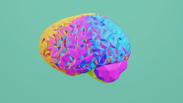 Colorido Baixo Poli Visão Lateral Cérebro Renderizar Isolado Segundo Plano — Fotografia de Stock