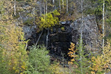 Doğu-Finlandiya 'da ulusal bir parkta küçük su birikintisi
