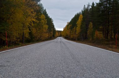 Finlandiya 'nın Kainuu bölgesinde yol bomboş.
