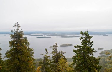 Finlandiya 'nın Kuzey Karelya bölgesinde göl