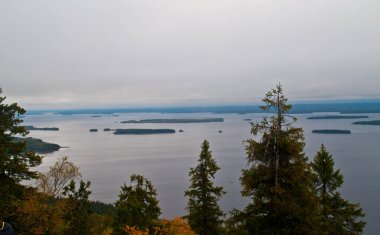 Finlandiya 'nın Kuzey Karelya bölgesinde göl