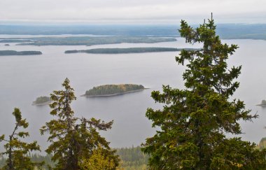 Finlandiya 'nın Kuzey Karelya bölgesinde göl