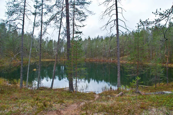 Forêt Lac Dans Parc National Finlande Orientale — Photo