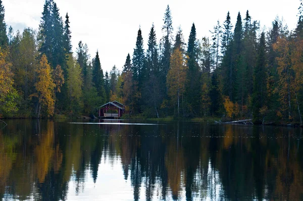 Doğu-Finlandiya 'da ulusal parktaki küçük bir kanyonda nehir.