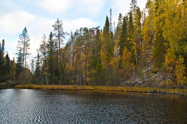 Río Pequeño Cañón Parque Nacional Este Finlandia — Foto de Stock