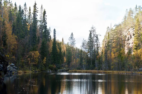 Fluss Einer Kleinen Schlucht Einem Nationalpark Ostfinnland — Stockfoto