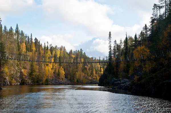 Brücke Einer Kleinen Schlucht Einem Nationalpark Ostfinnland — Stockfoto