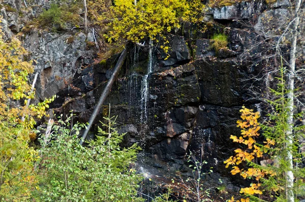 Pequeña Caída Agua Parque Nacional Finlandia Oriental —  Fotos de Stock