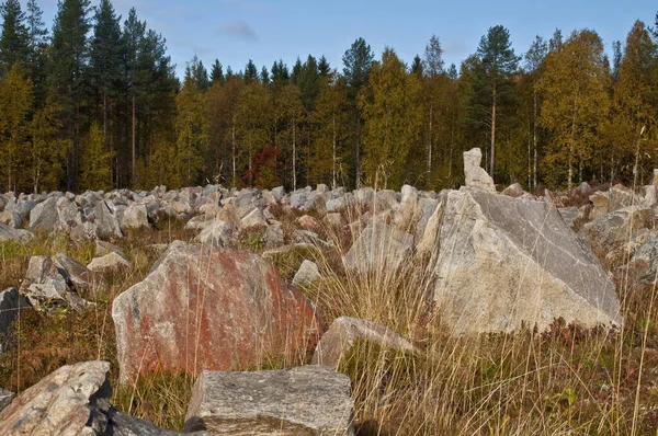フィンランドのスオムッサルミ近くの冬の戦争記念碑 — ストック写真