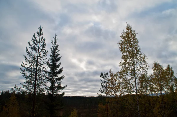 フィンランドのカイヌー地方の自然 — ストック写真
