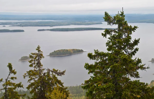 Lake Region North Karelia Finland — Stock Photo, Image