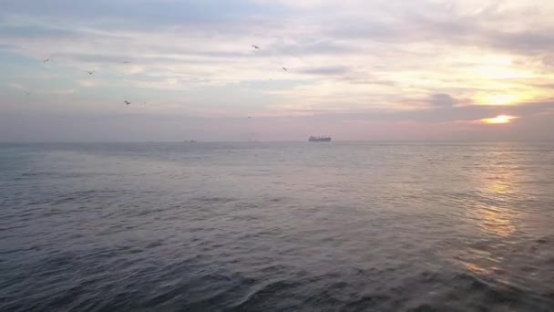 Tramonto sul Mar di Marmara, Istanbul Turchia. Aerea statica dei gabbiani e delle navi — Video Stock