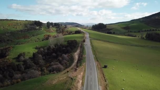 Krajobraz Nowej Zelandii, Aerial of Country Road Between Green Pasture Fields — Wideo stockowe