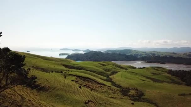 Vista aérea da pitoresca pradaria e litoral da Nova Zelândia, Ilha do Norte — Vídeo de Stock