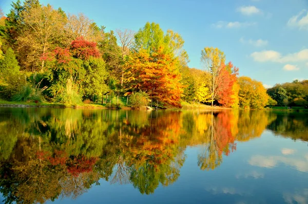 Árboles Coloridos Reflejados Agua Temporada Otoño —  Fotos de Stock