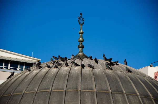 Schwarze Vögel Und Blauer Himmel Der Kuppel Der Moschee — Stockfoto