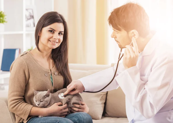 Mladí veterinární lékař zkoumá roztomilý kočka doma — Stock fotografie