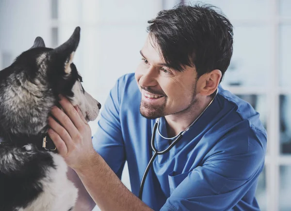 Joven veterinario barbudo blanco en bata azul — Foto de Stock
