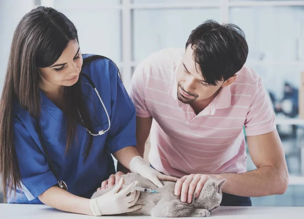 Jovem cara trouxe bom gato para visita para jovem veterinário — Fotografia de Stock