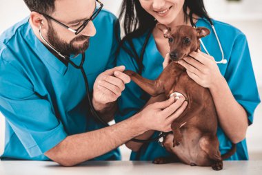 Genç veteriner Veteriner Kliniği