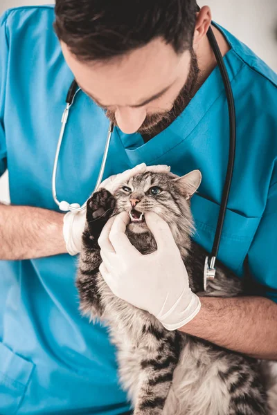 Jeune homme barbu vétérinaire en clinique vétérinaire — Photo