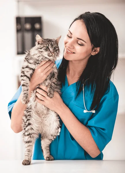獣医医院の若い獣医師女性 — ストック写真