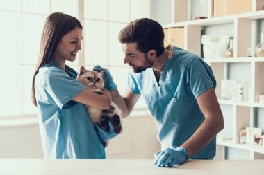 Gülümseyen Profesyonel Veteriner Holding Sevimli Kedi. Kadın Doktor Veteriner Veteriner Kliniği'nde Ellerde Sevimli Beyaz Kedi Tutuyor ve Gülümsüyor. Veteriner Kavramı.
